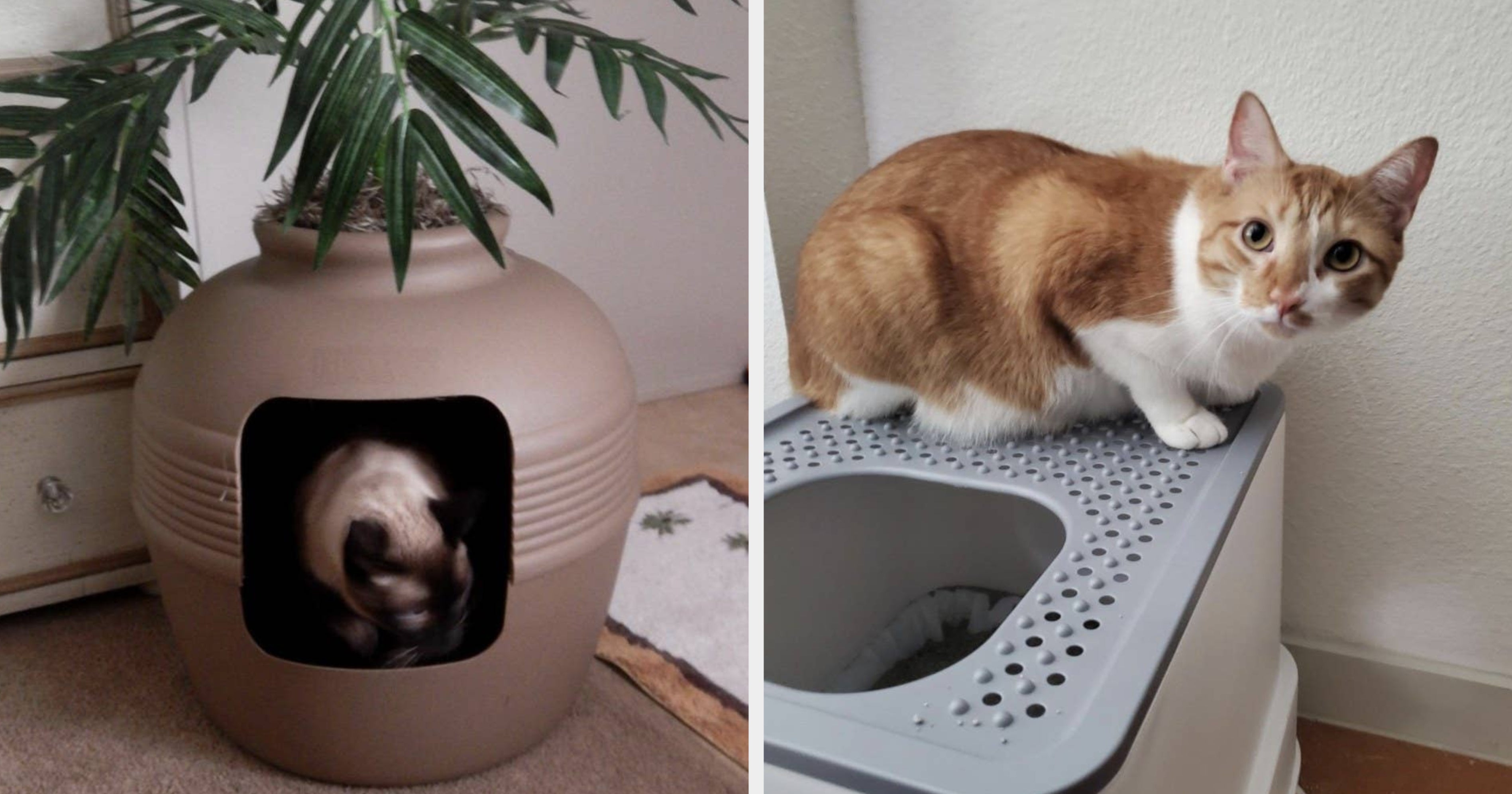 13 Of The Best Litter Boxes You Can Get On Amazon