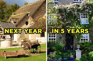 On the left, a cottage with a thatched roof and a water well and wheelbarrow in the front yard with "next year" typed on top of the image, and on the right, a cottage surrounded by tall trees and flowers with "in 5 years" typed on top of the image