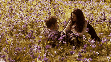 Bella and Edward in a meadow.