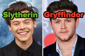 Harry Styles is on the left labeled "Slytherin" while Niall Horan is labeled "Gryffindor" on the right