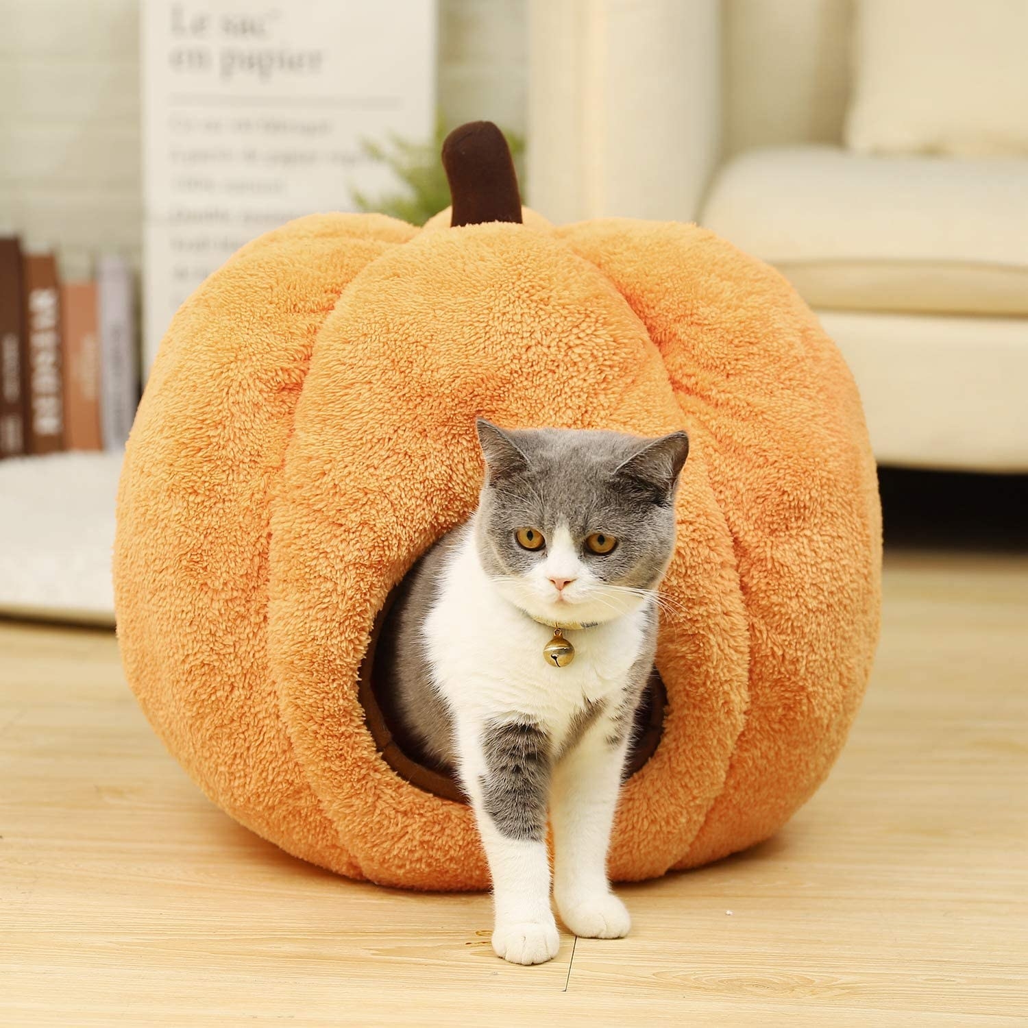 A cat emerges from a pumpkin shaped car home
