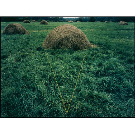 A haystack is turned into an ice cream cone using string