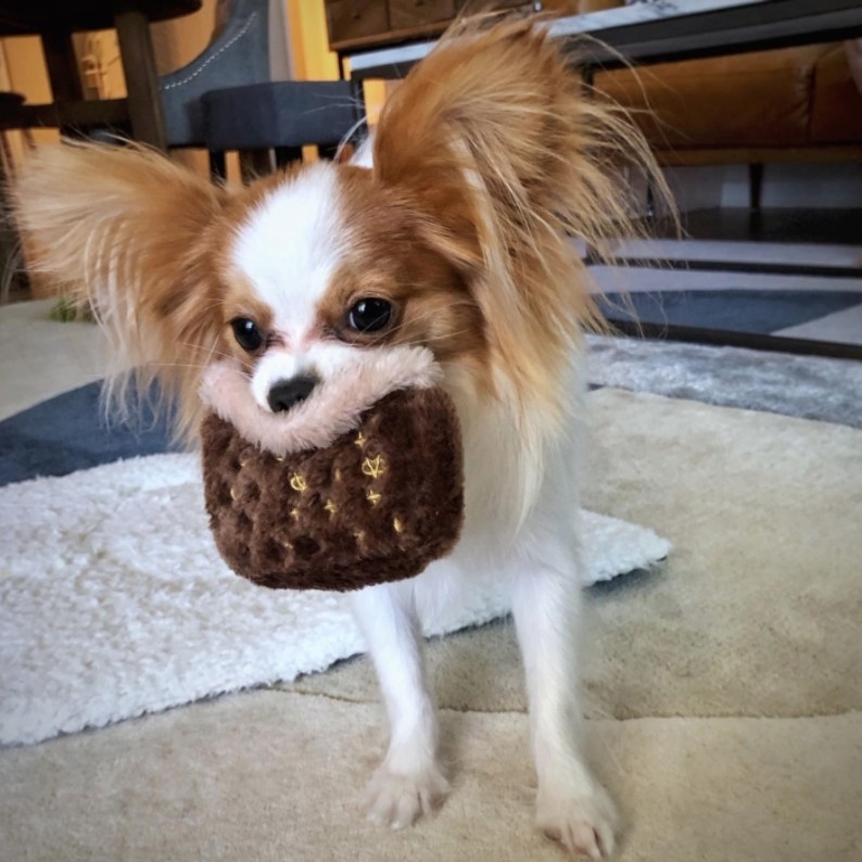 Reviewer&#x27;s dog holding the &quot;Chewy Vuitton&quot; plush toy that looks like a designer purse 