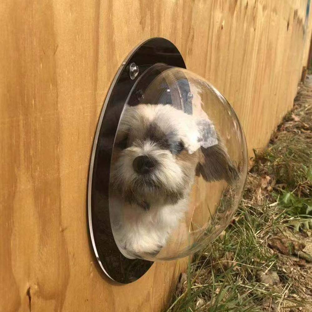 Dog looking out the bubble-shaped window from their fence