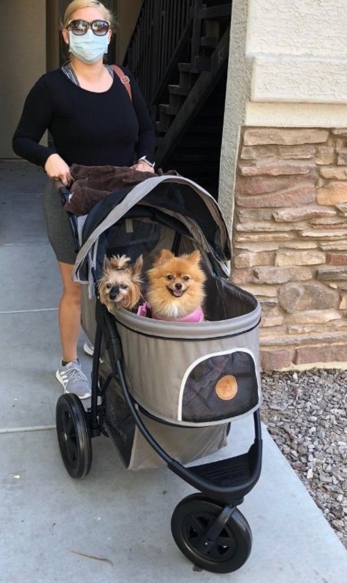 Reviewer pushing the stroller with their two small dogs sitting in it