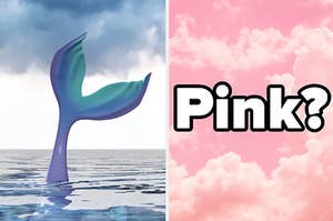 An image of a mermaid tail flipping out above the water next to an image of a pink sky at sunset