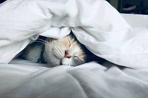 A cat sleeps underneath a blanket.