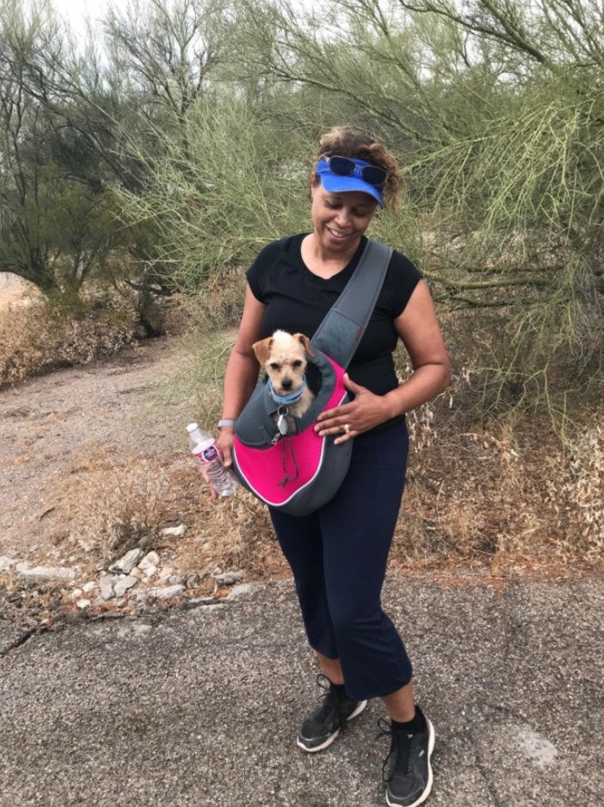 Reviewer wearing the pink carrier bag with small dog inside 