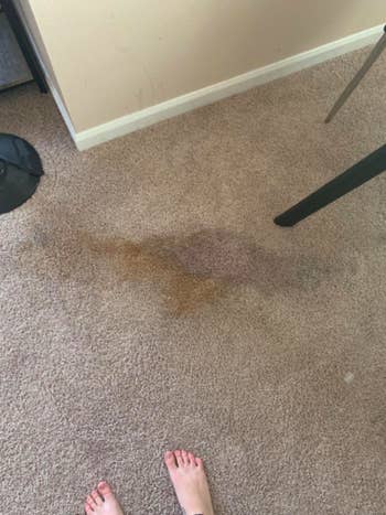 Reviewer photo showing carpet with a severe red wine stain. 