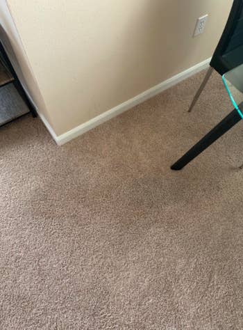 Reviewer photo showing carpet after using Wine Away spray, showing stain completely removed and carpet looking good as new. 
