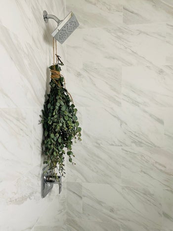 Eucalyptus leaves hanging from a shower head