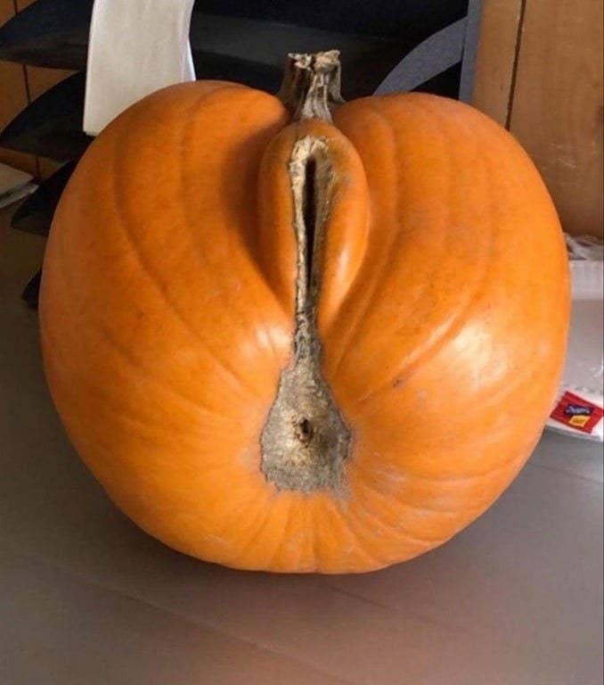 A pumpkin with large folds on one side