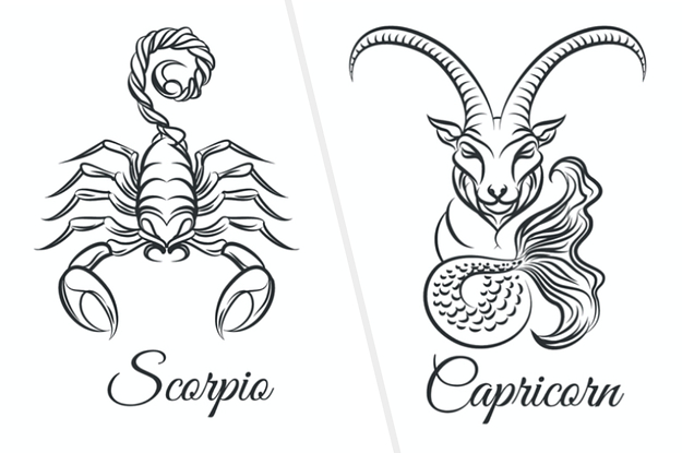 Scorpio and Capricorn