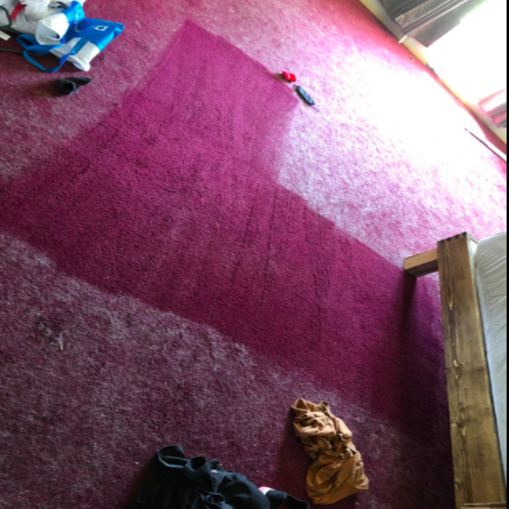 A customer shows a clean L-shaped patch of carpet vacuumed using the Dyson V11 Torque Drive Cordless Vacuum Cleaner