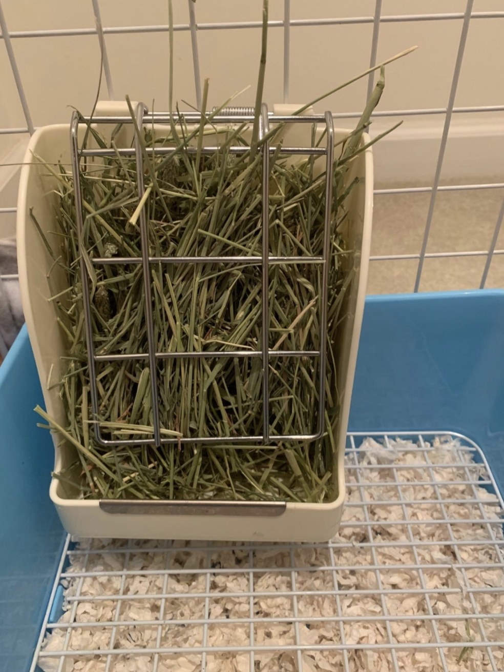 An image of a hay feeder in a cage