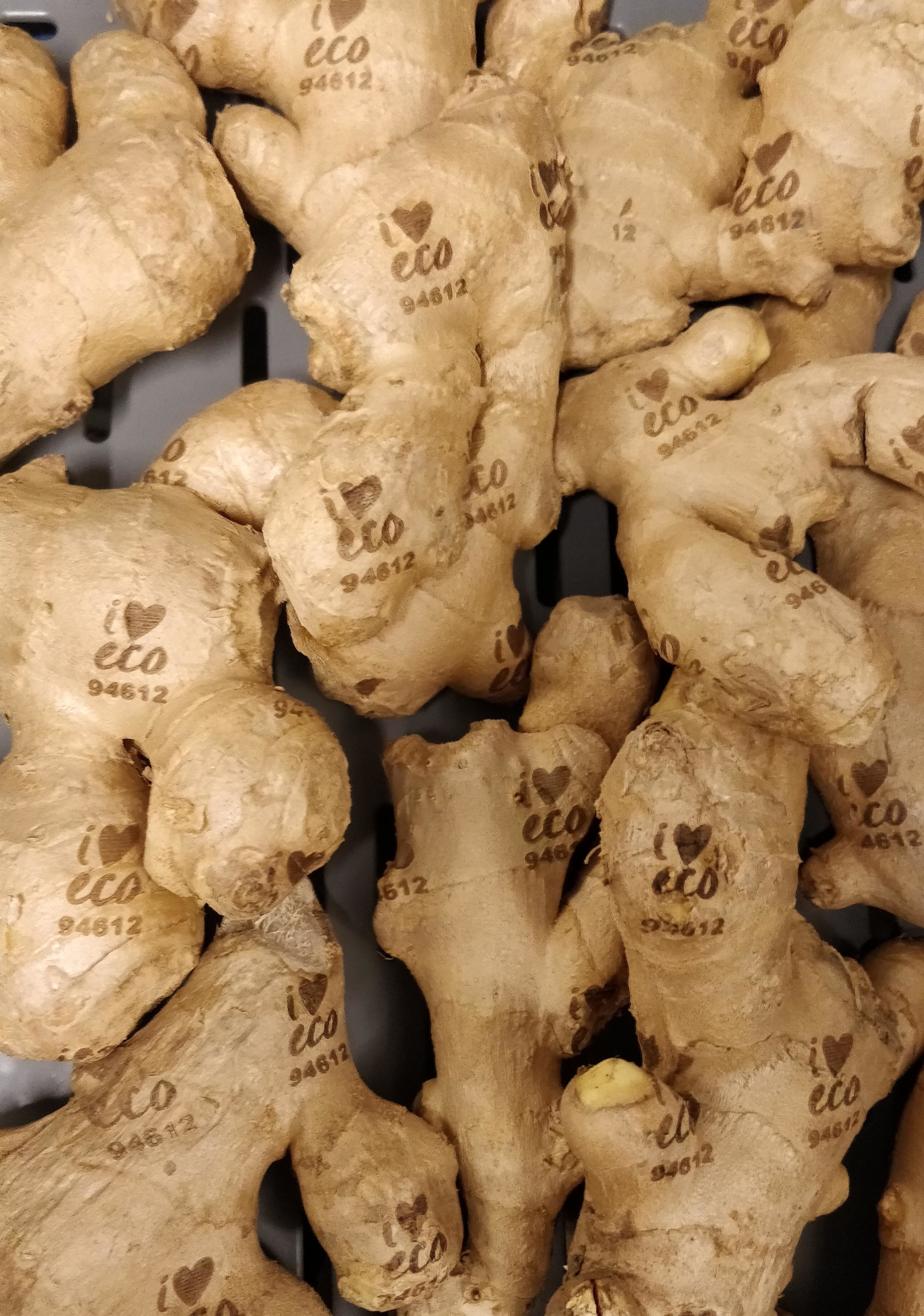 Ginger with a produce code printed on it.