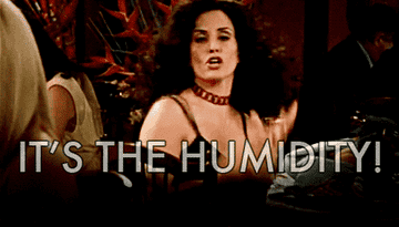 Courteney Cox in the TV show &quot;Friends&quot; holding up her frizzy and poofy hair and saying, &quot;It&#x27;s the humidity!&quot;