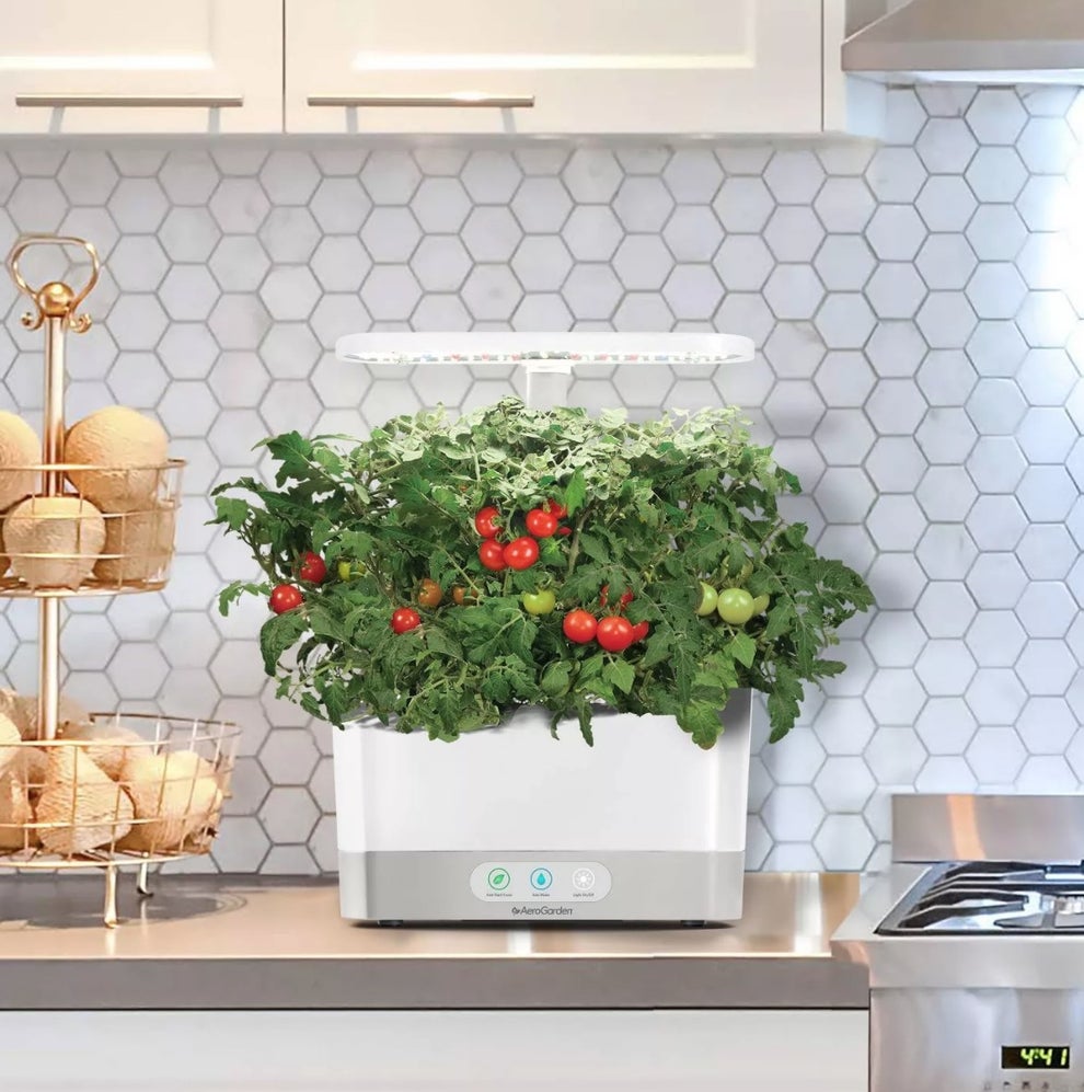 BestSelling Yard and Garden Products From Target