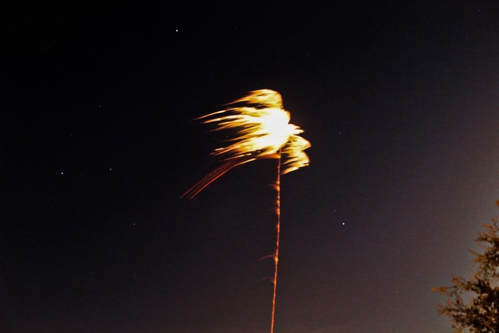 A firework looks like a palm tree with its leaves on fire and being blown back by a gust of wind