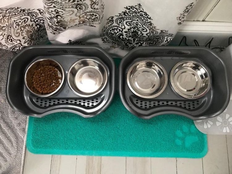 Reviewer&#x27;s picture of two of the feeding bowl sets