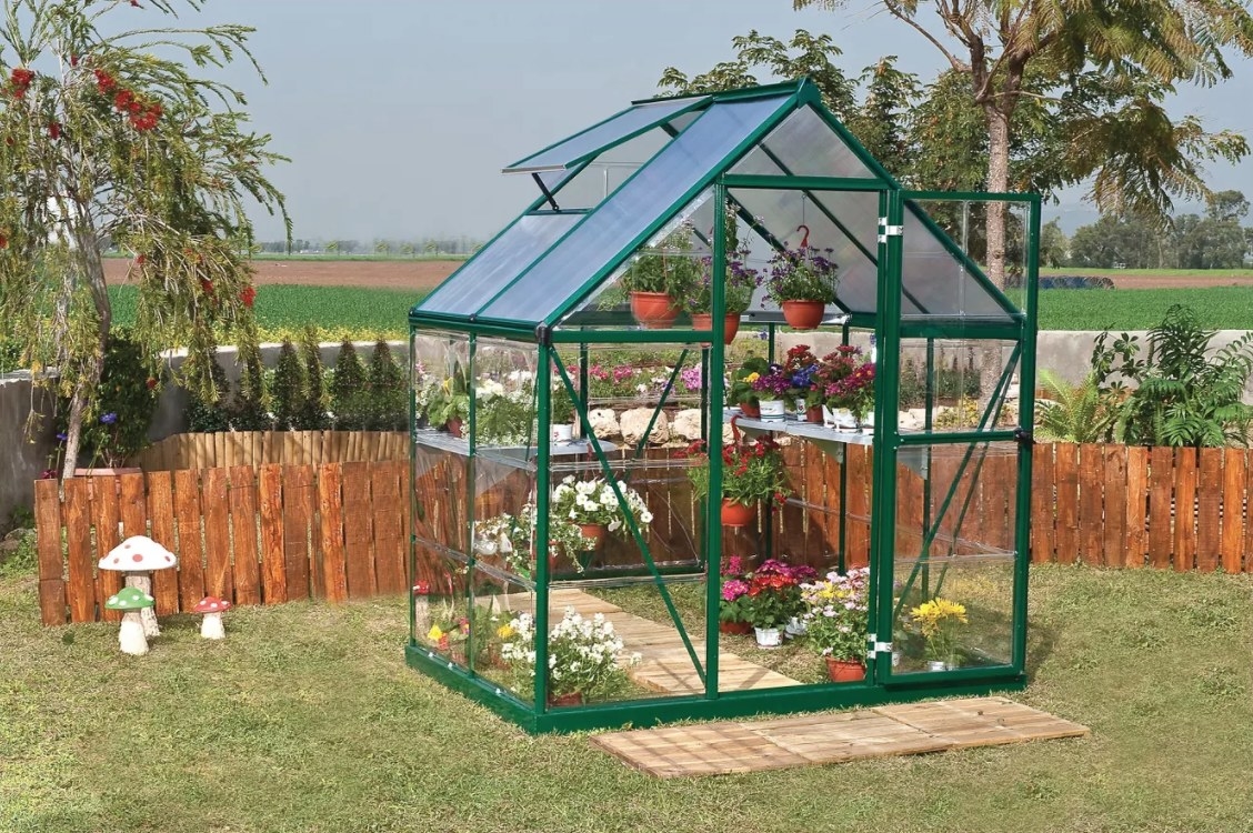 A green framed greenhouse with clear windows and shelving