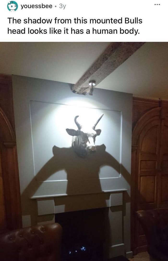 A mounted bull head is casting a shadow making it look like it has a body beneath it