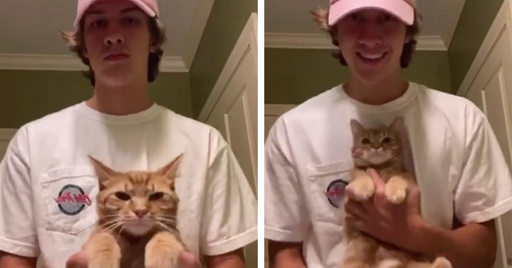 Featured image of post Funny Pfp For Tiktok Cat