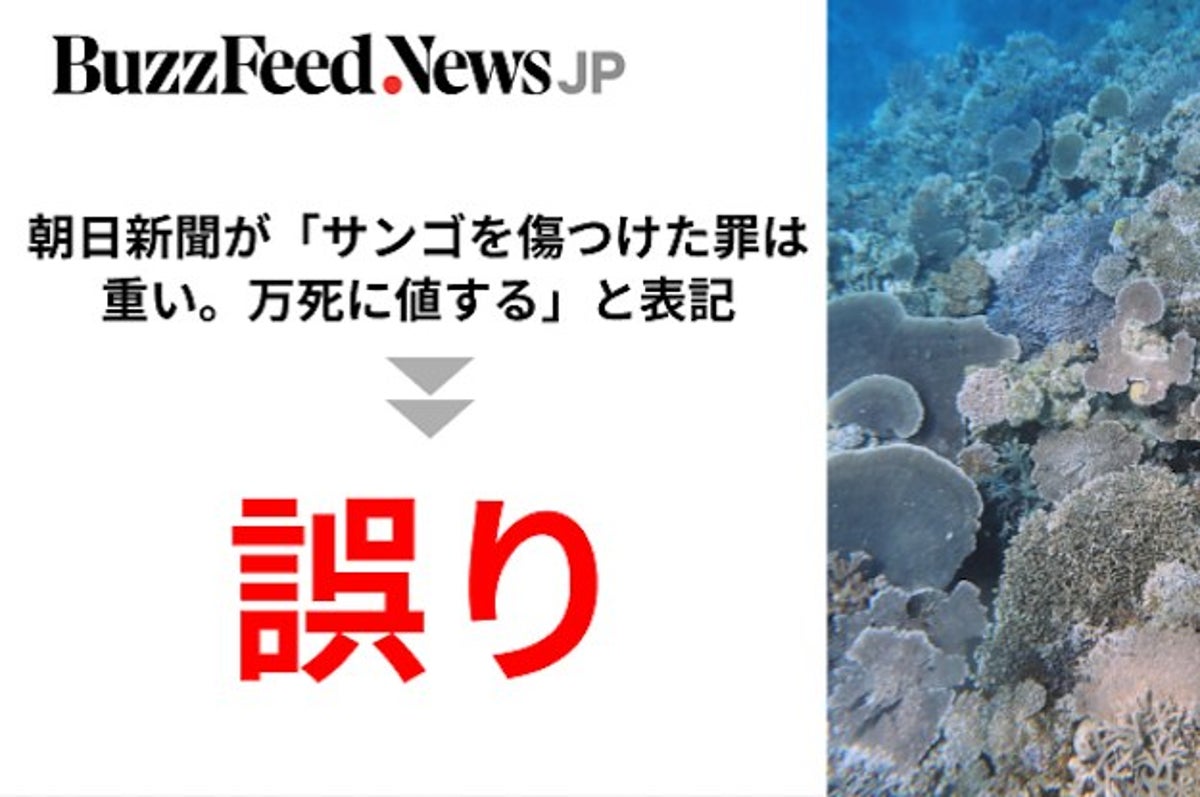 朝日新聞が サンゴを傷つけた罪は重い 万死に値する と表記は誤り ソースは5ちゃんか