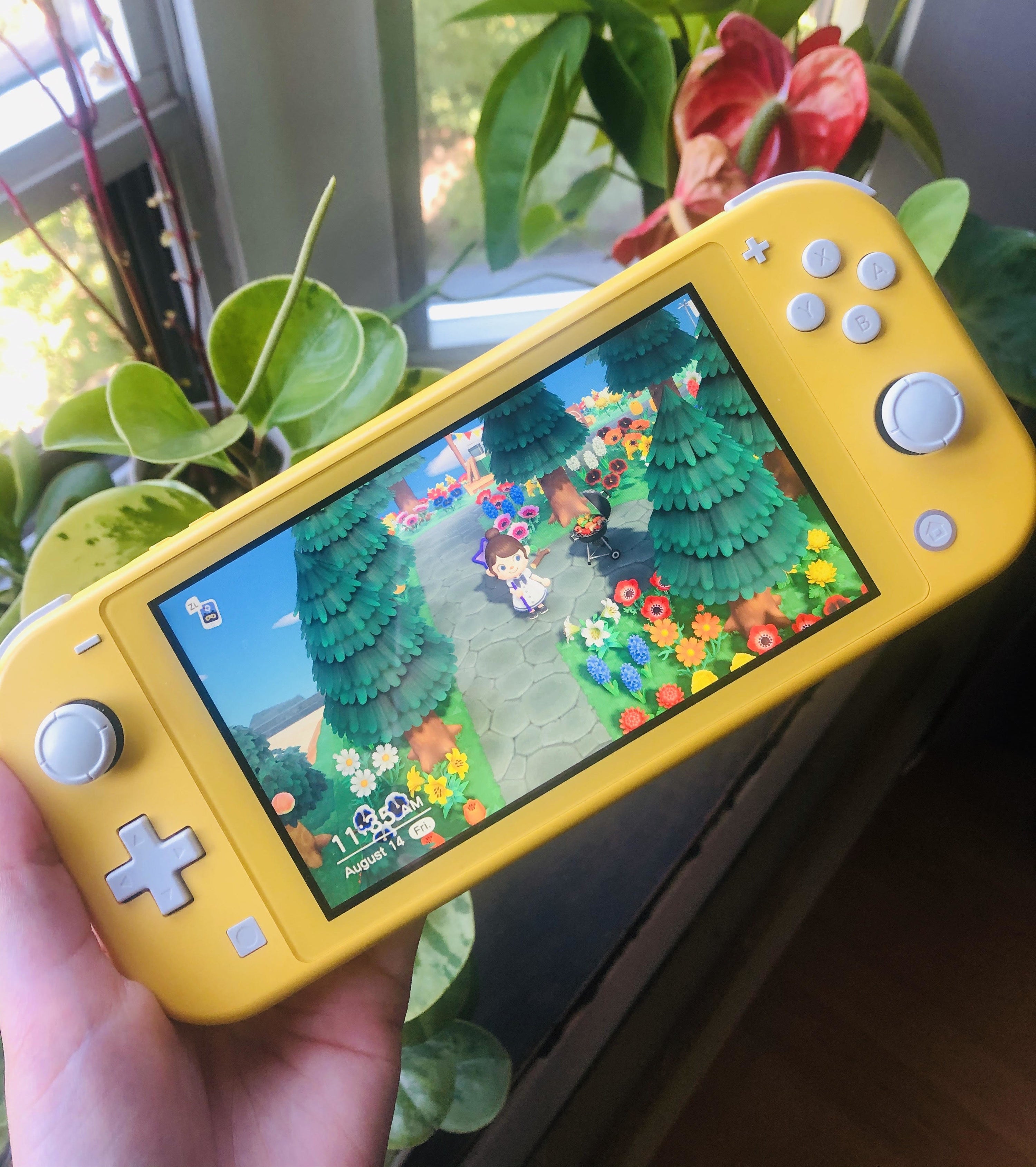 A person holding the Nintendo Switch in front of plants