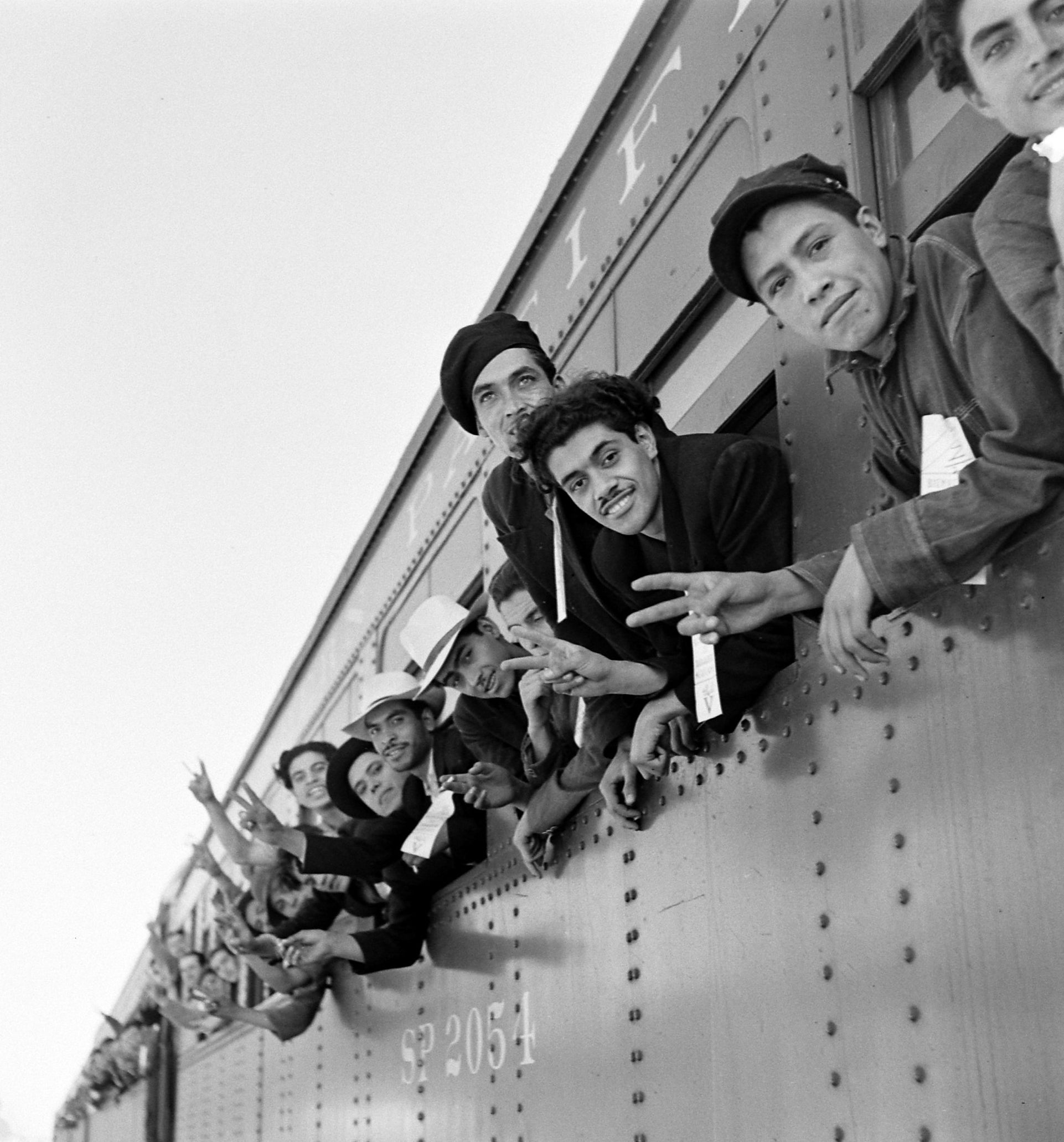 Mexican laborers from the Bracero Program leaning out the windows of a train