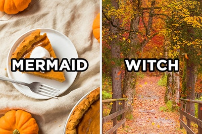On the left, a slice of pumpkin pie on a plate with "mermaid" typed on top of the image, and on the right, a forest in autumn with leaves on the ground with "witch" typed on top of the image