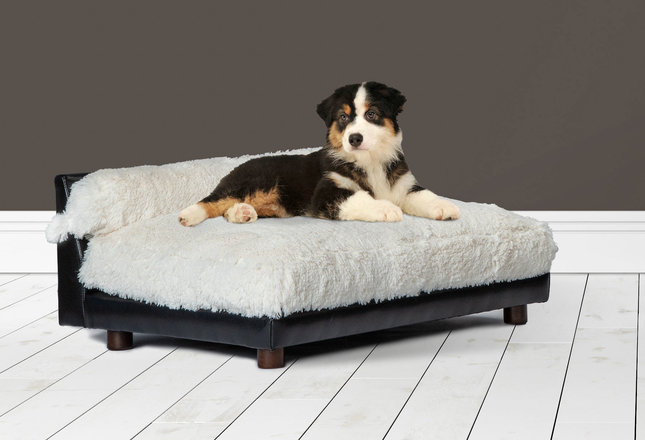 dog on shaggy dog bed