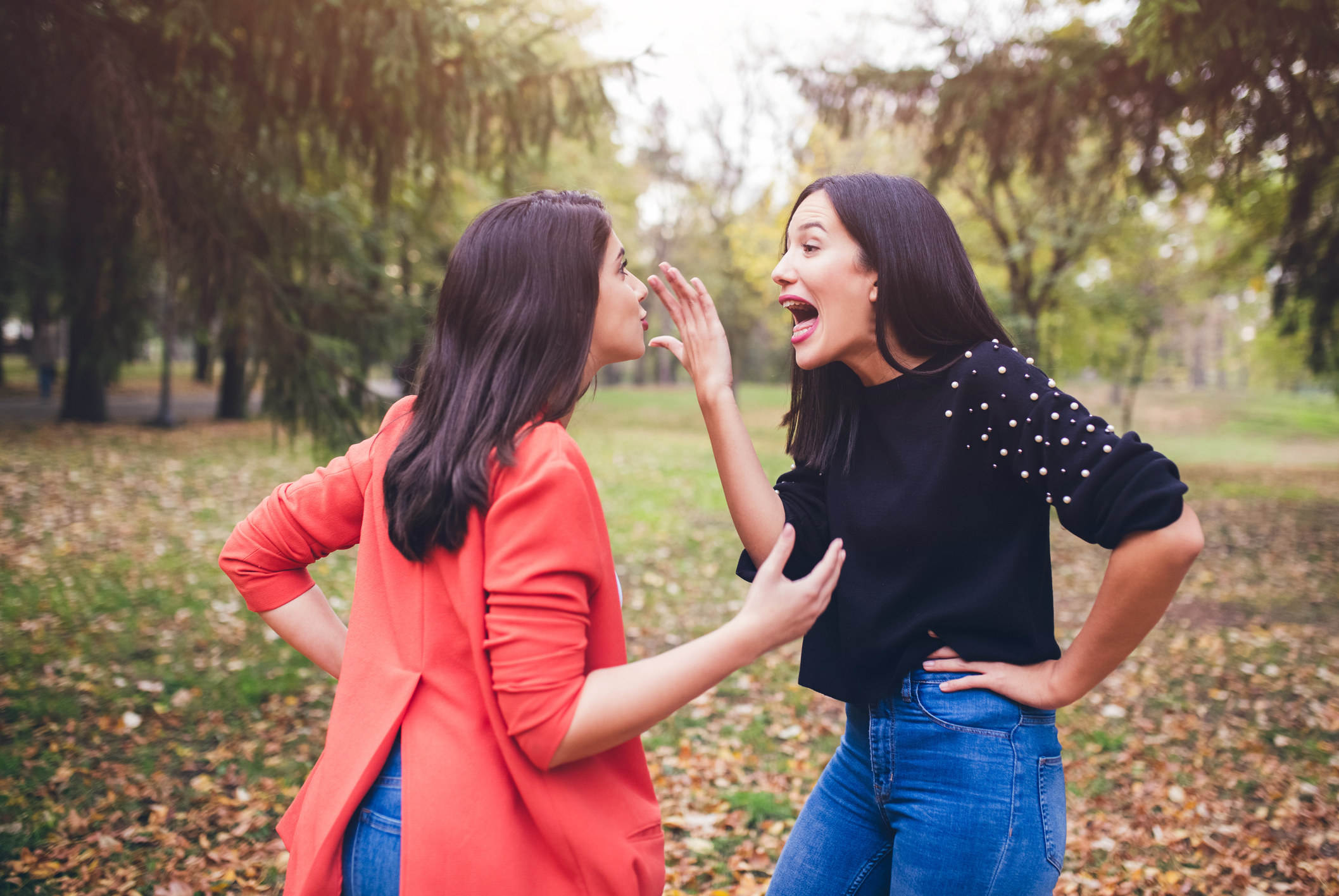 Two friends arguing in park