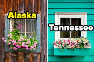 The wooden window on the left is labeled "Alaska" with a springy window labeled "Tennessee" on the right