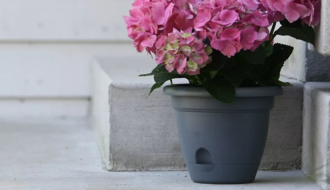 A round gray self-watering planter
