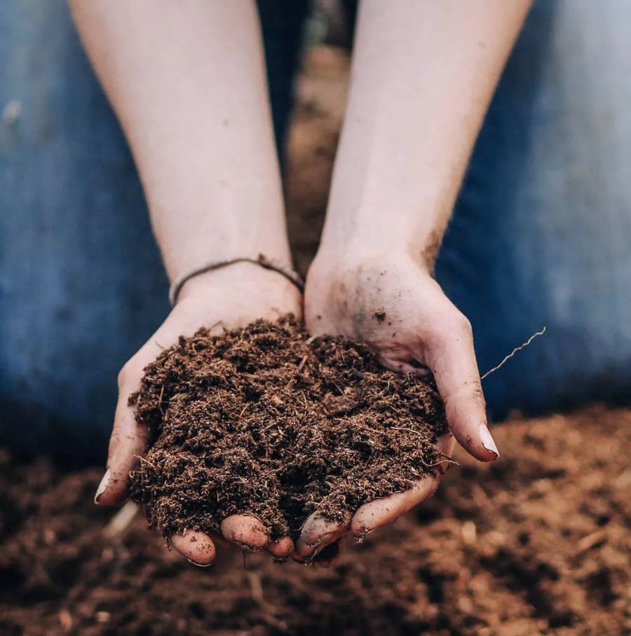 Best Selling Yard And Garden Products From Target