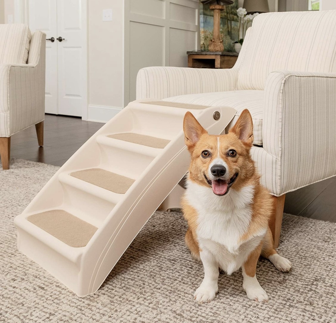 Product photo showing a corgi sitting next to pet steps