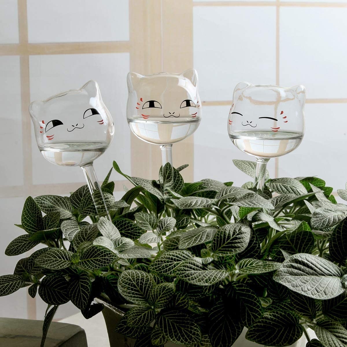 Three self-watering globes in a plant