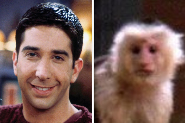 Ross Geller next to Marcel the Monkey