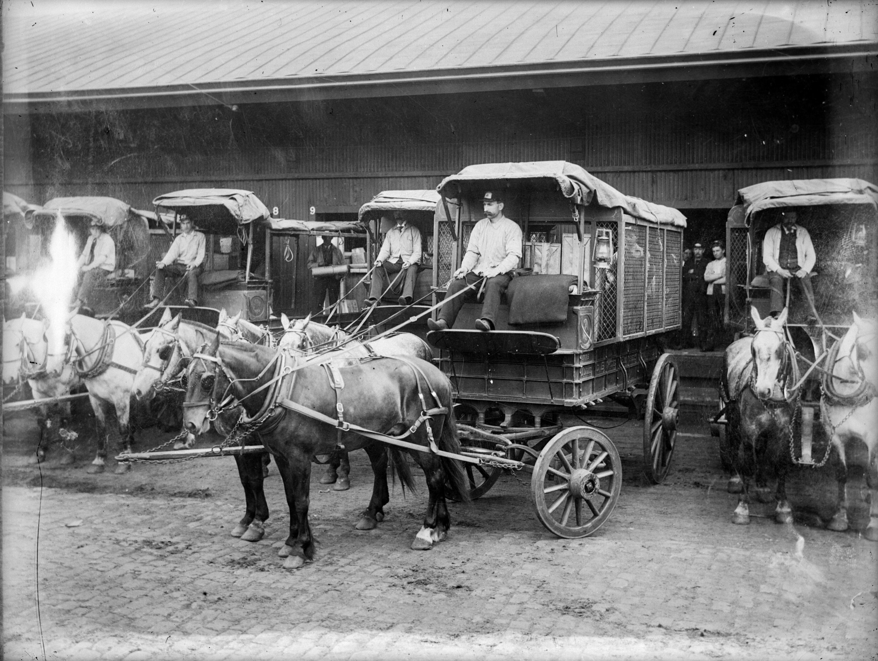 A fleet of horse-drawn carriages with men holding their reins