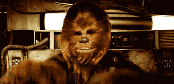 Chewbacca combing back his hair 