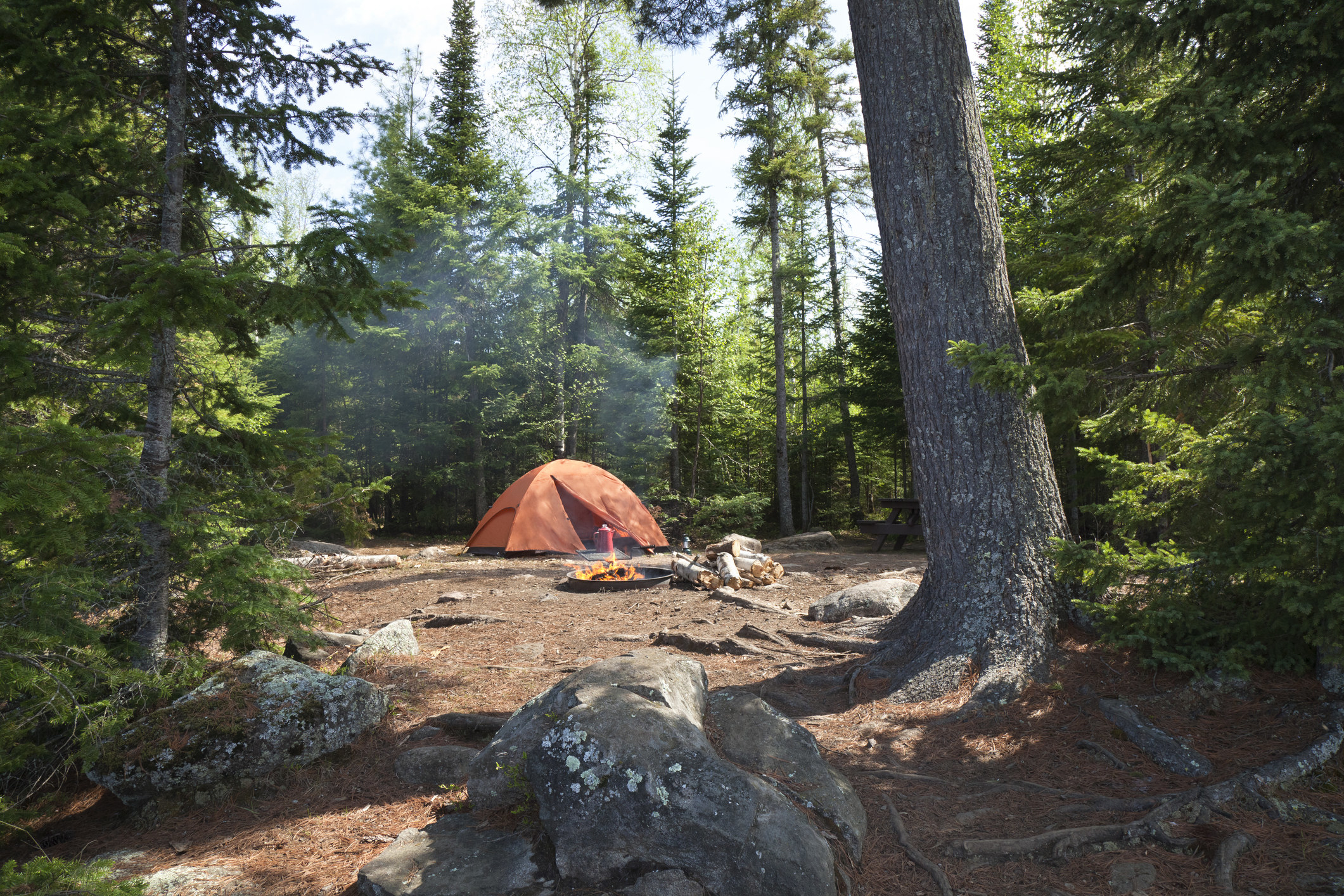 campsite with orange tent and campfire set among pines in the northern Minnesota wilderness