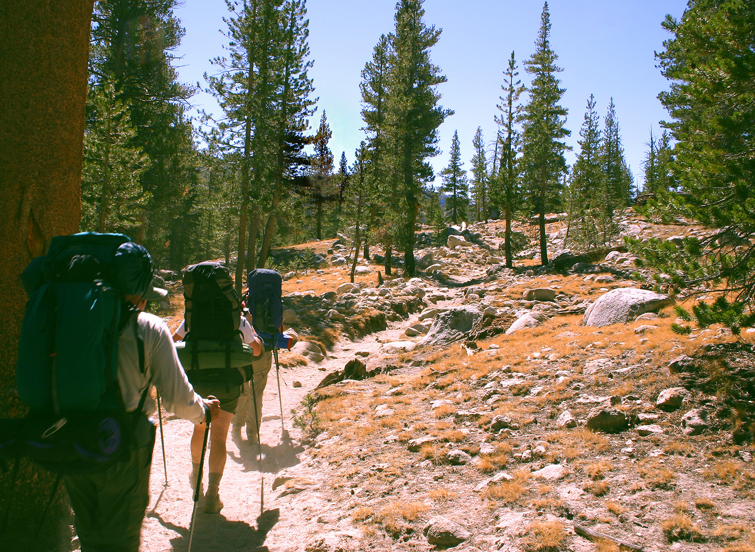 three people with big backpacks and hiking sticks walking along a national park trail