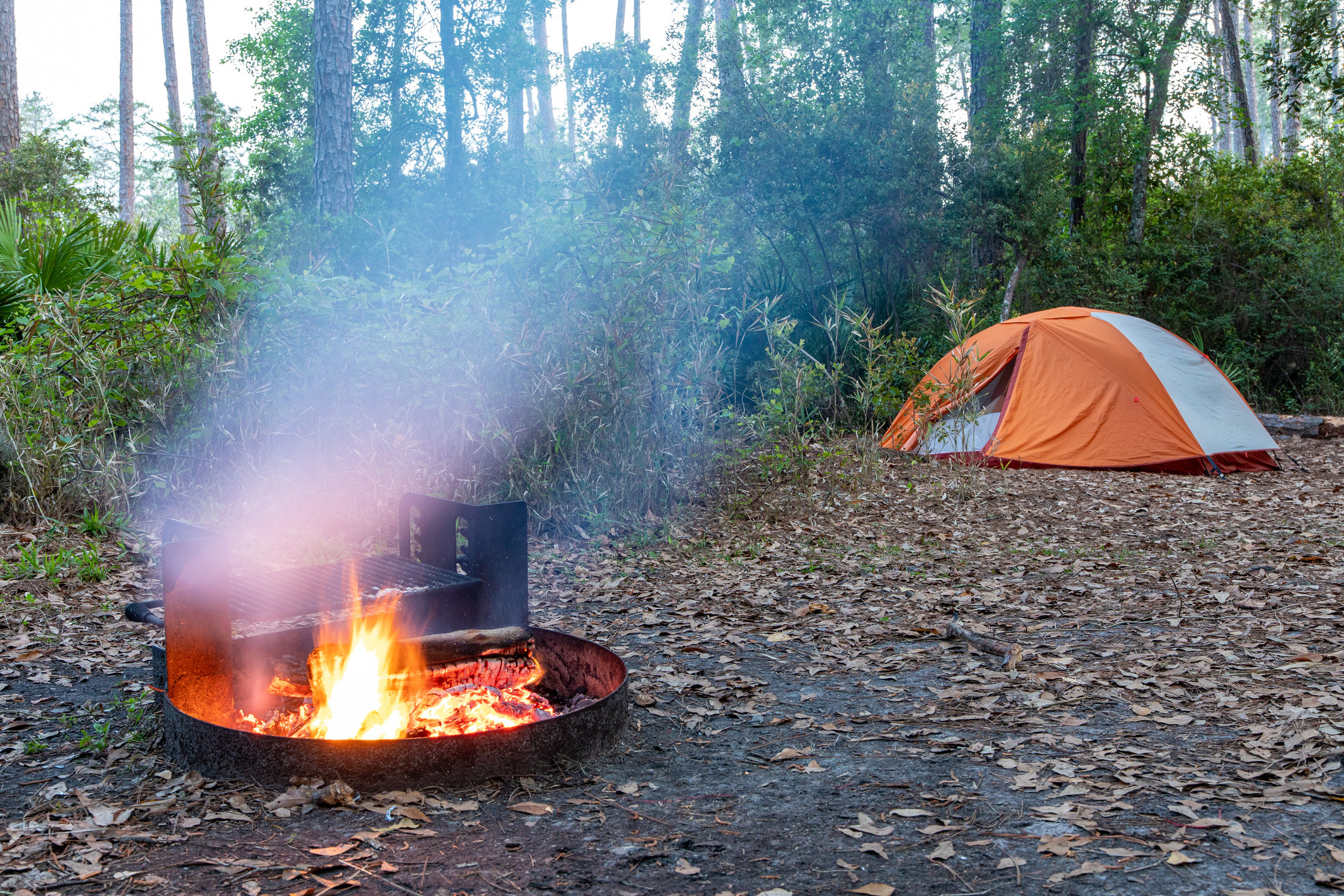 A small campfire roars in a remote campsite in Georgia&#x27;s Okefenokee Swamp