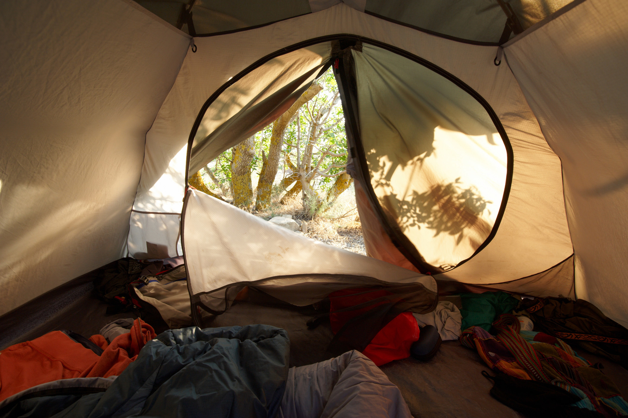 a view from inside a tent, with sleeping bags and clothes on the ground, looking out into the woods