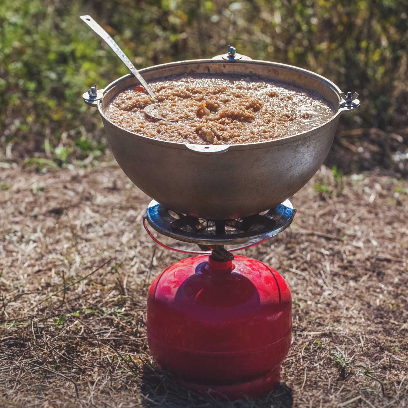 pot of porridge cooking on a gas burner surrounded by nature