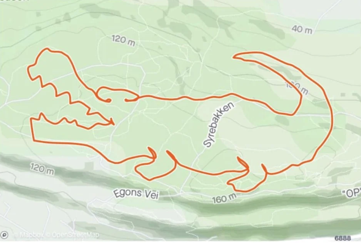 A map on an app that tracks a runner's route has drawn an alligator