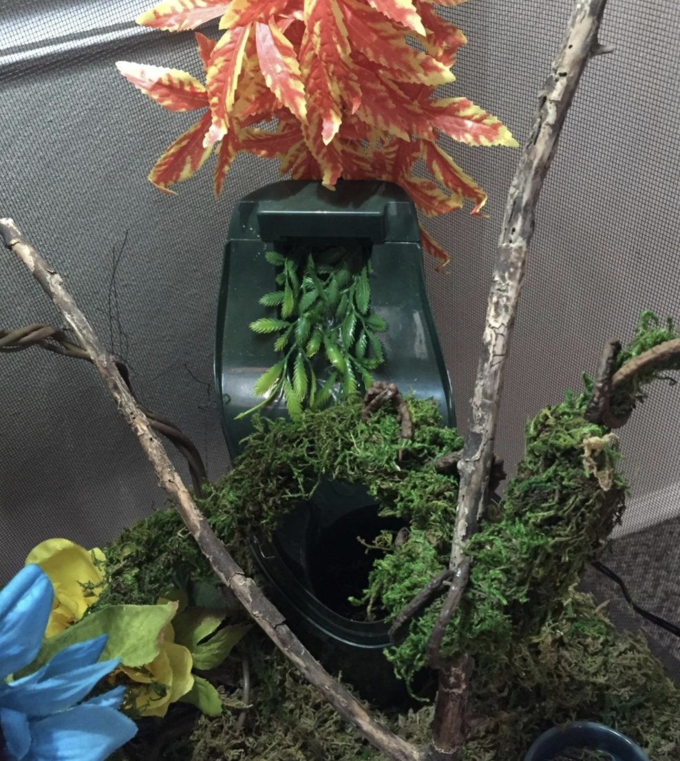 An image of a water fountain in a reptile enclosure