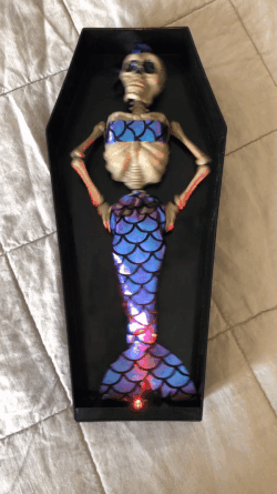 a gif of the skeleton mermaid in a coffin shaking its hips back and forth