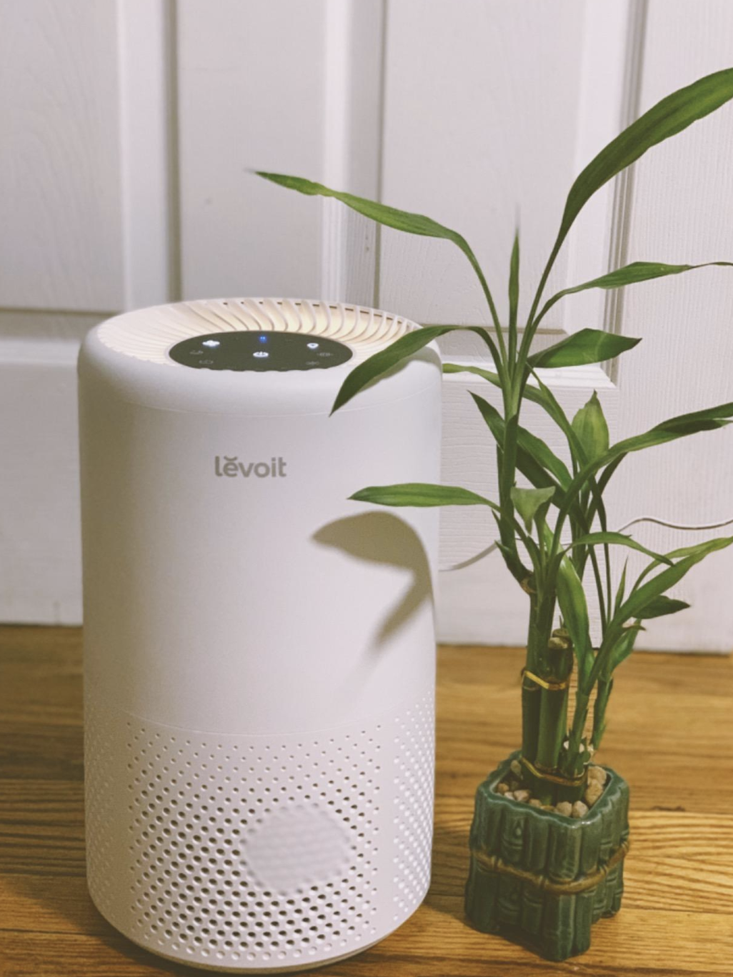 Reviewer image of Levoit air purifier on dresser